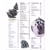کتاب Periodic Table a Visual Encyclopedia اثر Amit Verma نشر Dorling Kindersley