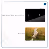 برچسب پوششی ماهوت مدل Horse-2 مناسب برای تبلت سامسونگ Galaxy Tab S4 10.5 2018 T835