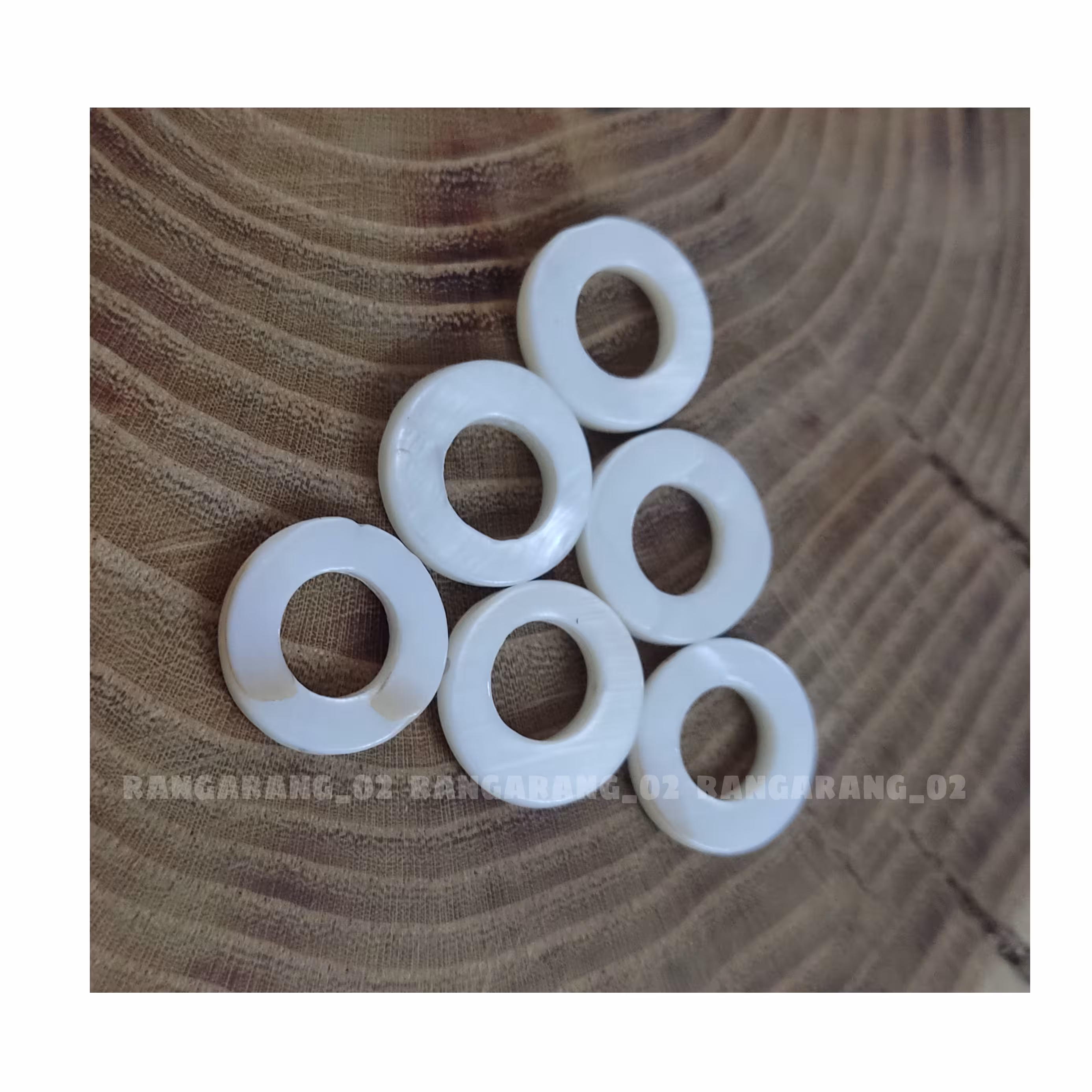 صدف طبیعی گرد تو خالی