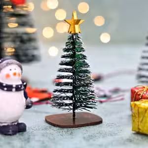 کاج مینیاتوری کوچک نوک برفی 12 سانت