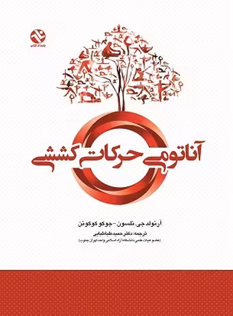 آناتومی حرکات کششی