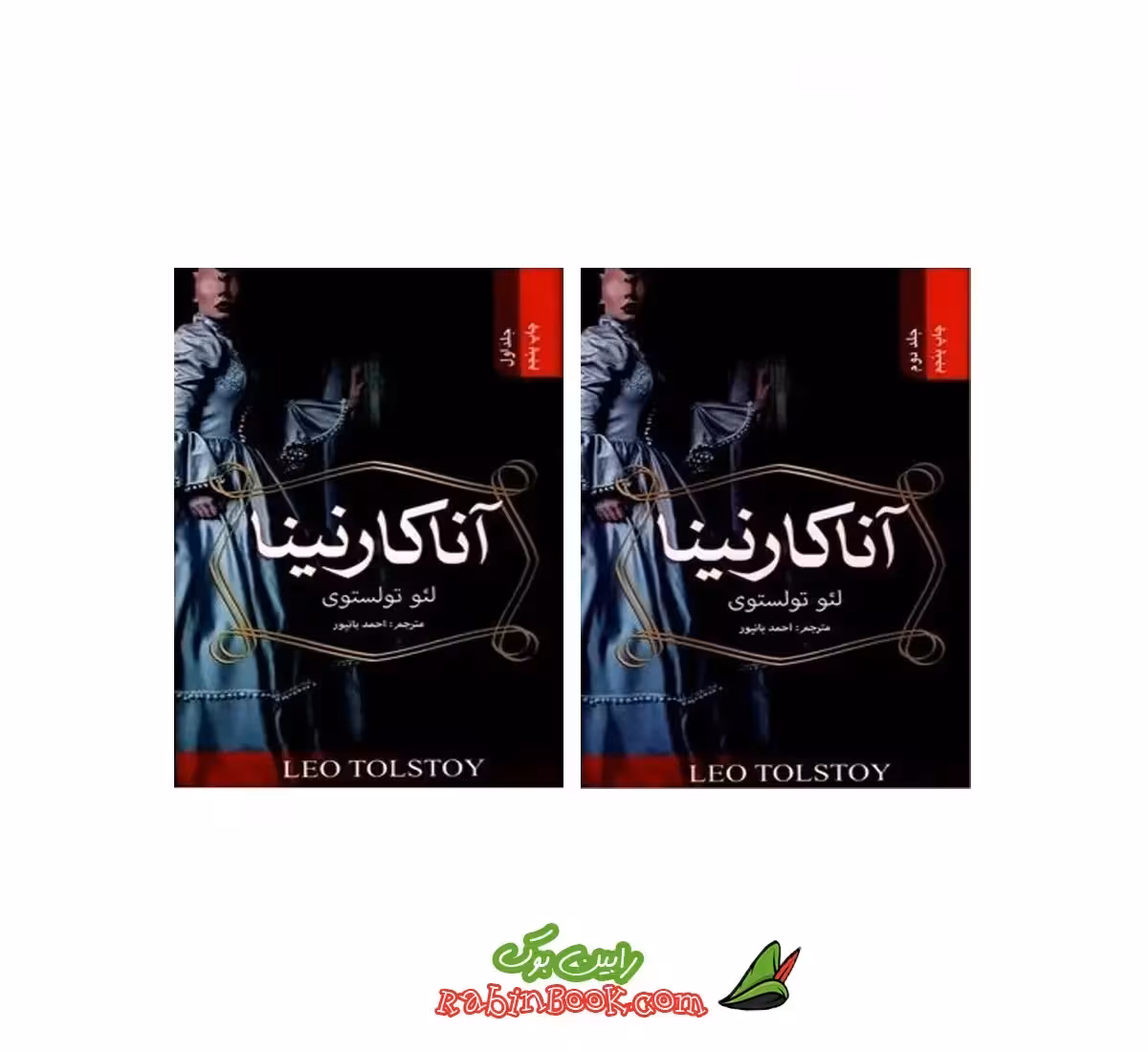 کتاب آنا کارنینا | اثر لئو تولستوی | نشر ضامن آهو