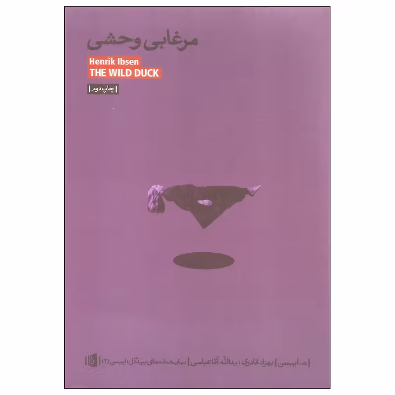 کتاب مرغابی وحشی نشر بیدگل