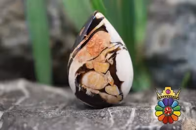 پینت وود جاسپر