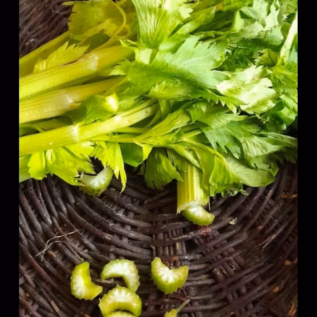 کرفس آماده