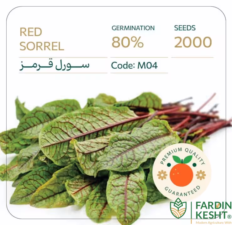 بذر سورل قرمز آمریکایی بسته 2000 عددی راشا ⭐