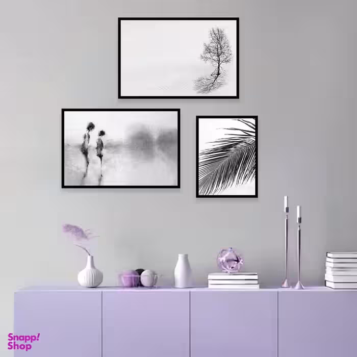 تابلو بکلیت مدل طرح تک درخت سیاه و سفید B-996 مجموعه 3 عددی