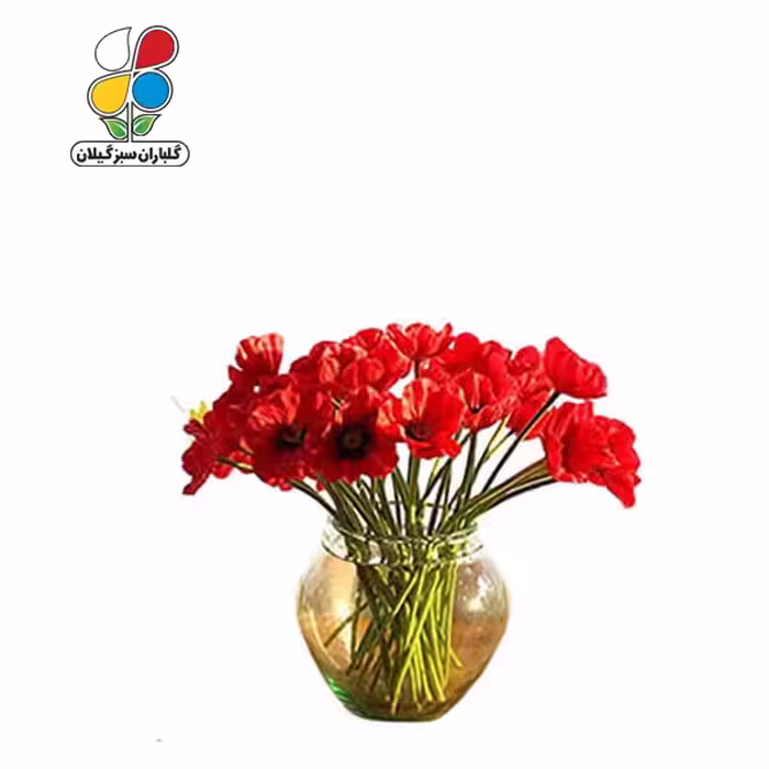 بذر گل شقایق نعمانی بسته بندی بزرگ