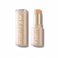 کرم پودر استیکی شیگلم مدل اسکین مگنت رنگ Nude حجم 10 گرم