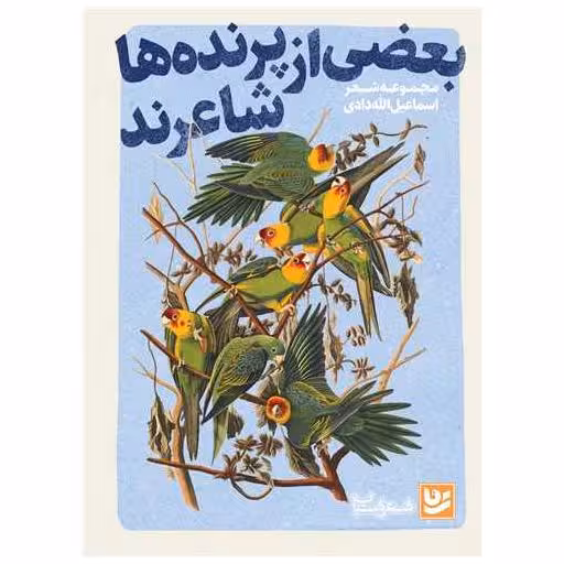کتاب بعضی از پرنده ها شاعرند اثر اسماعیل الله دادی