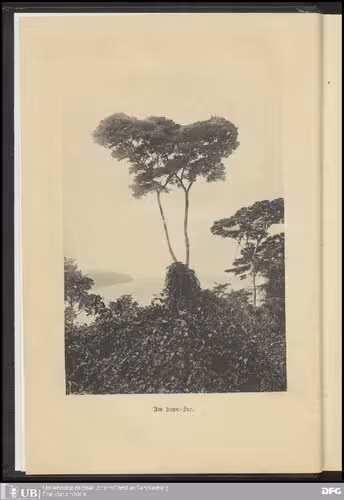 خرید و دانلود نسخه کامل کتاب Caput Nili : Eine empfindsame Reise zu den Quellen des Nils