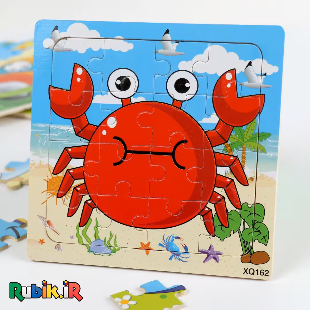 اولین پازل من چوبی 16 تکه (17 طرح)