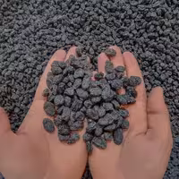 مویز سیاه بی  هسته (پس کرایه)