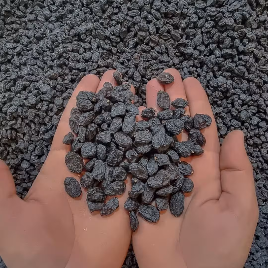 مویز سیاه بی  هسته (پس کرایه)