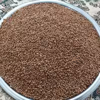 عدس محلی ارگانیک پاک شده وتمیز 1000گرمی قیمت85000