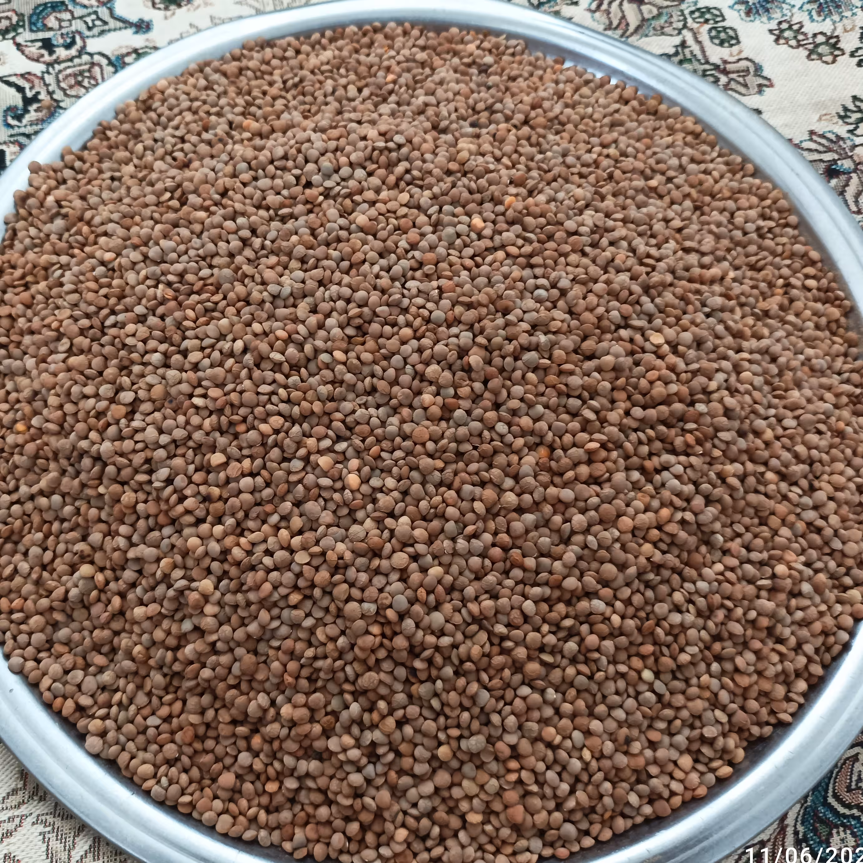 عدس محلی ارگانیک پاک شده وتمیز 1000گرمی قیمت85000