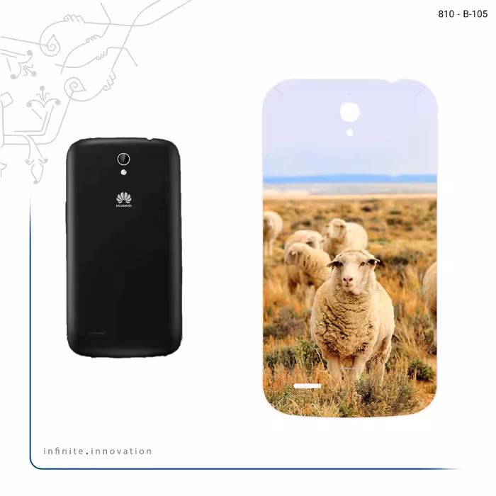 برچسب پوششی ماهوت مدل Sheep مناسب برای گوشی موبایل هوآوی Ascend G610
