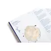 کتاب Textilepedia اثر جمعی از نویسندگان انتشارات تیمز و هادسون