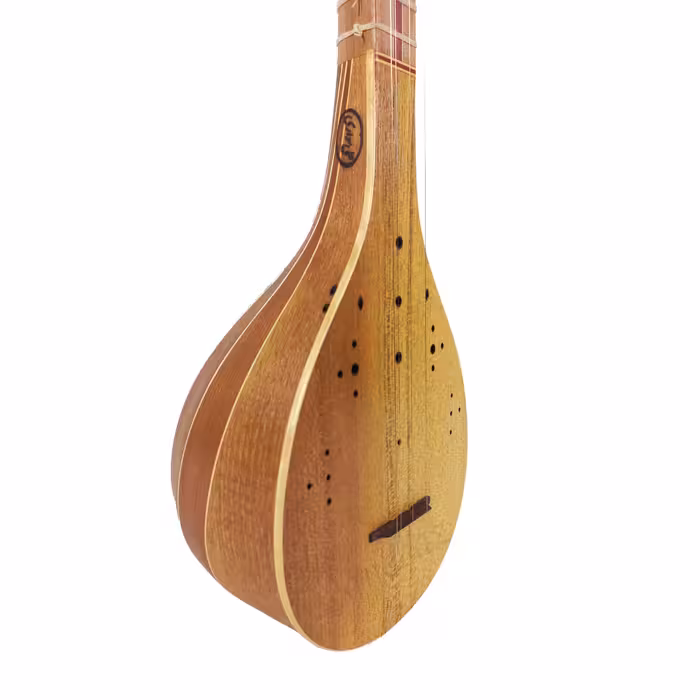 سه تار علی سواری مدل مهدیس