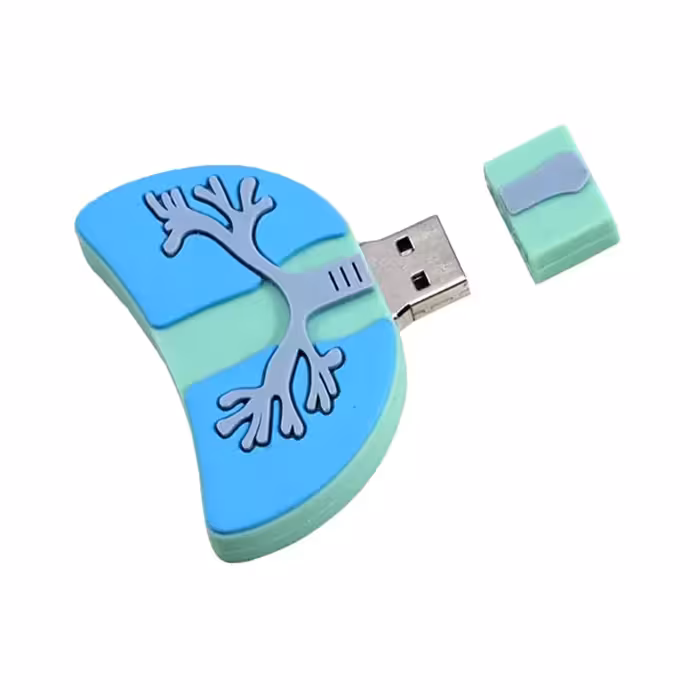 فلش مموری دایا دیتا طرح ریه انسان مدل PF1101-USB3 ظرفیت 64 گیگابایت
