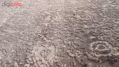 فرش ماشینی زمرد مشهد طرح پتینه کد TA113 زمینه طوسی