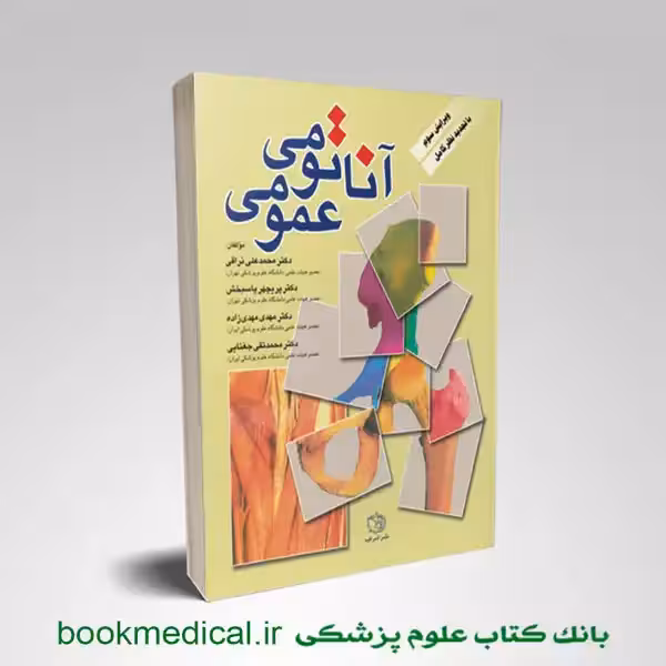 آناتومی عمومی نراقی