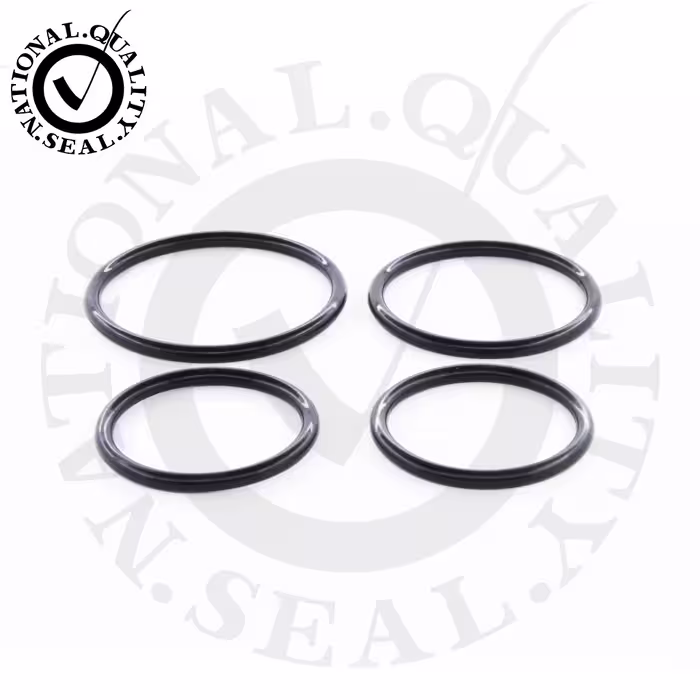 K61 سیل کیت منیفولد (راه آب) D155