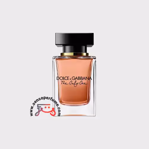 عطر ادکلن دلچه گابانا د اونلی وان | dolce gabbana the only one