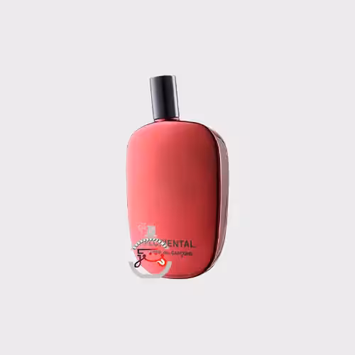 عطر ادکلن کام دی گارکونس فلورینتال | comme des garcons  floriental