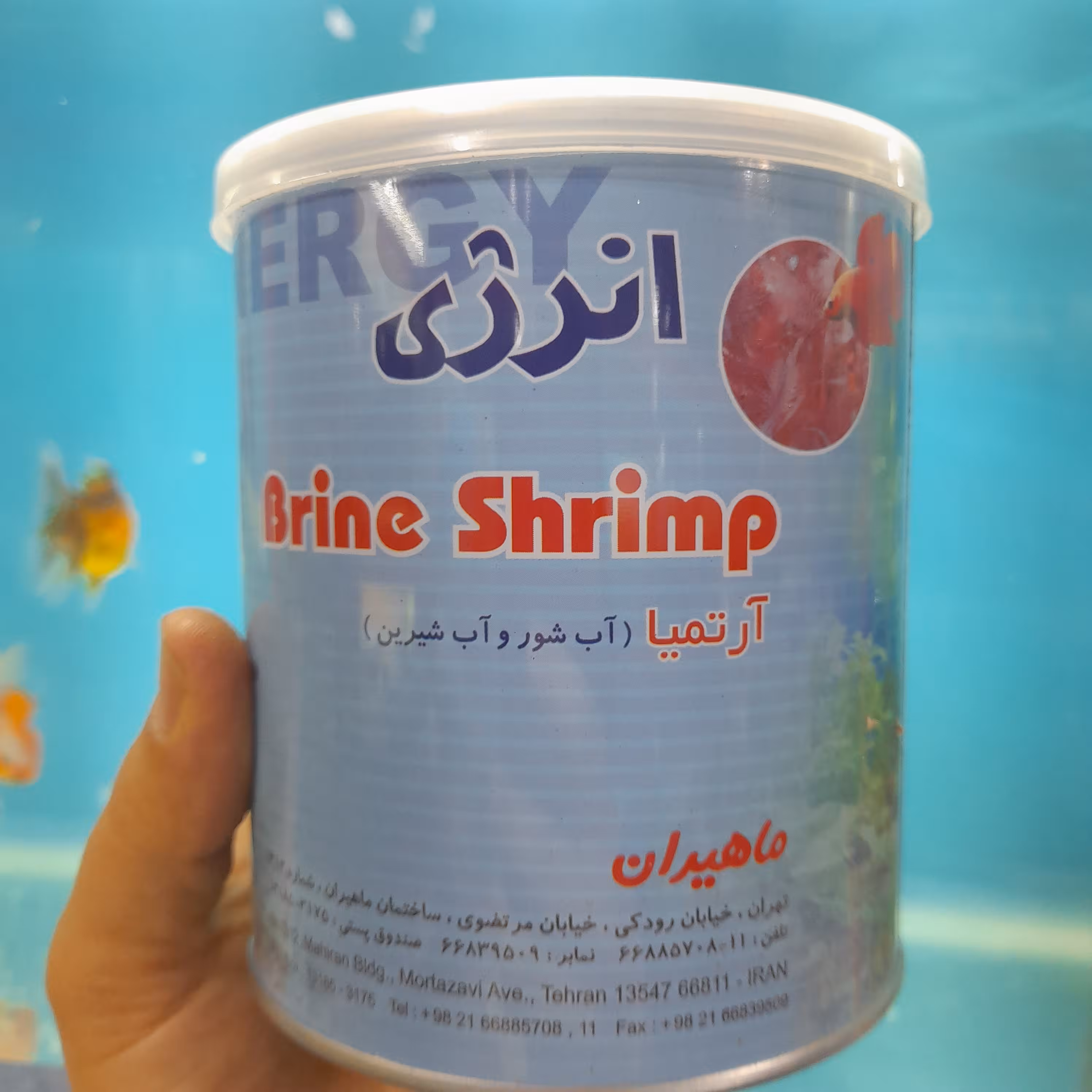 غذای آرتمیا انرژی مخصوص ماهیان آکواریوم