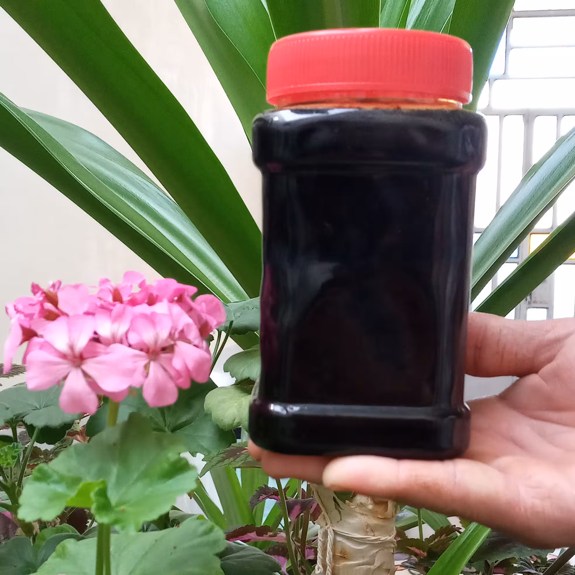 دوشاب (شیره انگور)(یک کیلو)