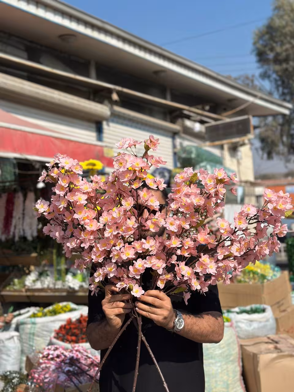 شاخه شکوفه سیب صورتی سه بازو