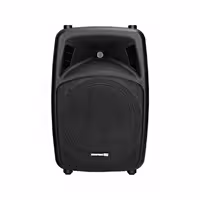 بلندگو اکتیو اکوچنگ EchoChang ZX400A