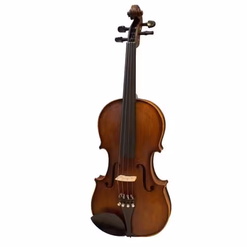 ویولن رناتو مدل 220 سایز 4/4RENATO 220 Size 4/4 Violin