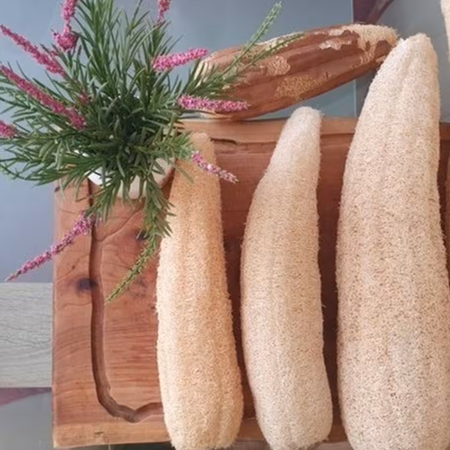 میوه لوفا. لایه بردار ارگانیک.ار مزرعه ما تا خانه شما 30 سانتی متر. 