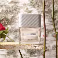 عطر مردانه دبونیر جنتل وود