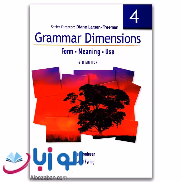 Grammar Dimensions 4 Form Meaning Use 4thگرامر دایمنشن
