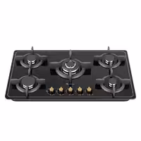 گاز صفحه ای داتیس مدل DG542