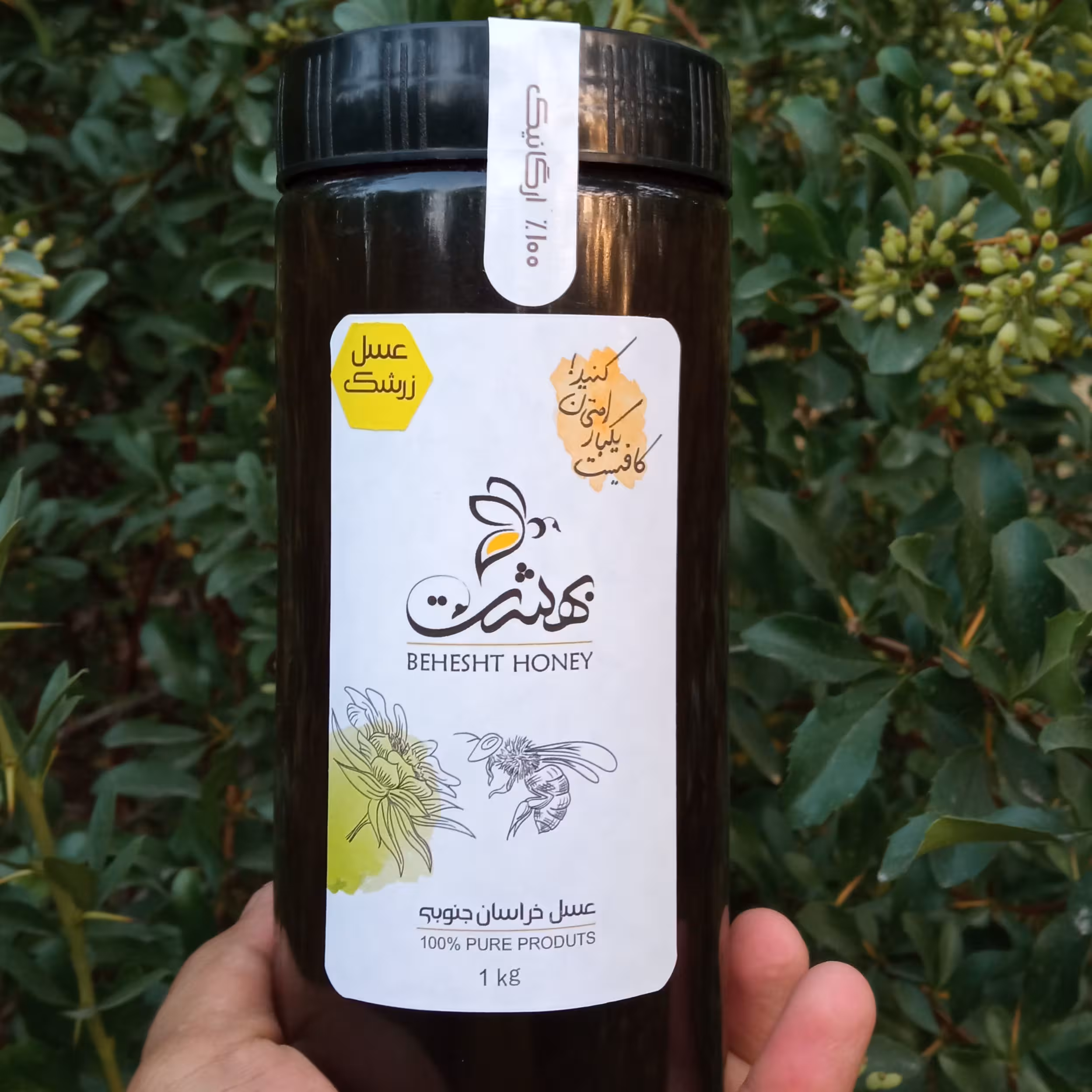 عسل زرشک