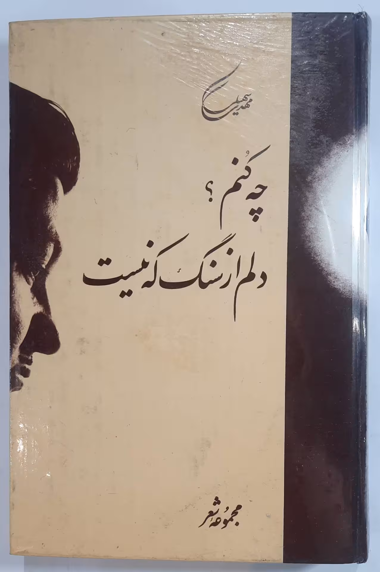 چه کنم دلم از سنگ که نیست_ اثر مهدی سهیلی