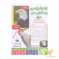 کتاب کارتهای آموزش تصویری (پرندگان وحشی) اثر نشر غزال