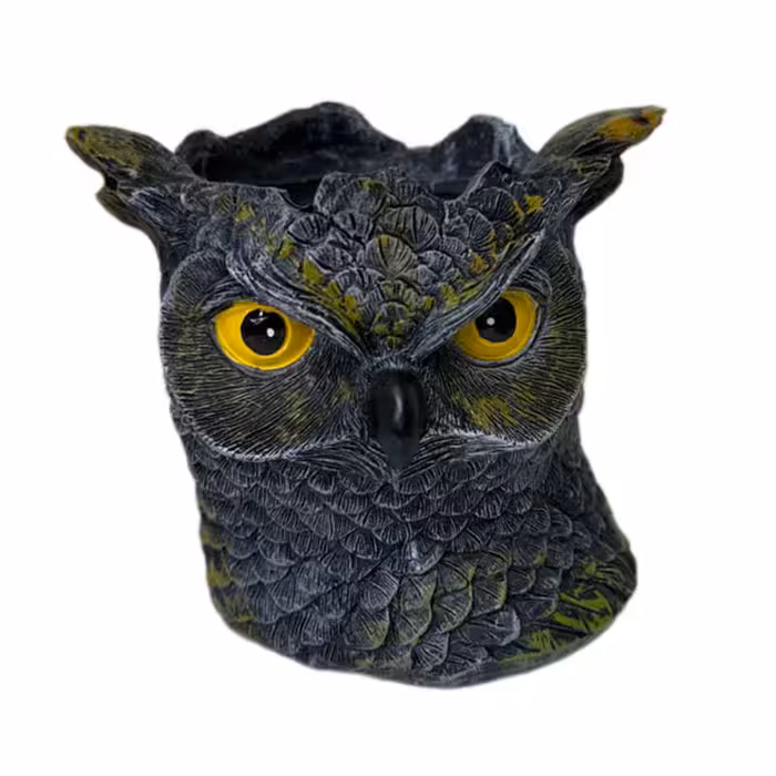 جامدادی رومیزی مدل جغد دانا کد DECTS-Q44