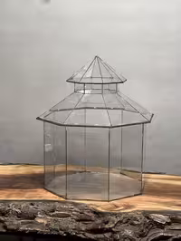 خرید شیشه تراریوم طرح شاوولین ارسال فوری به تهران و سراسر ایران