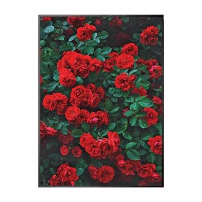 تابلو دکوراتیو کد 408 مجموعه 3 عددی