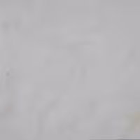 سرامیک والرمو 50*50