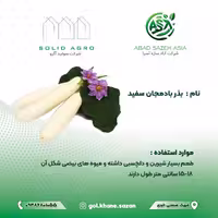 بذر بادمجان سفید، پاکت هزار عددی