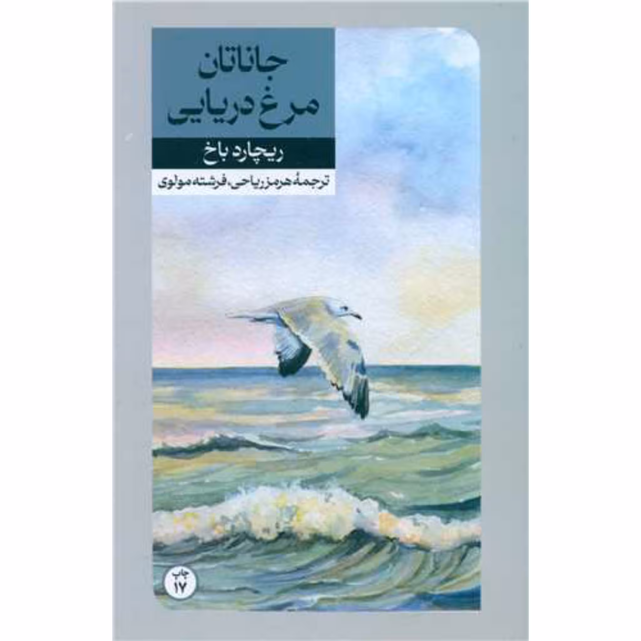 کتاب جاناتان مرغ دریایی چاپ اصل و نو با تخفیف اثر ریچارد باخ نشر امیر کبیر برنده جایزه