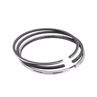 خرید رینگ پیستون مخصوص پیستون‌های استروک TU5 با قطر 80 میلی‌متر | اتوموبی