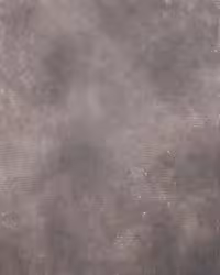 بک دراپ چوبی کد 229 (در 2 سایز)