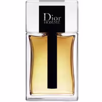 Christian Dior Homme EDT - ادوتویلت مردانه کریستین دیور هوم حجم 100 میلی لیتر - نگین عطر